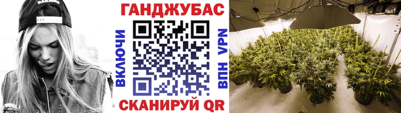 дарнет шоп  Кемь  Шишки марихуана индика 